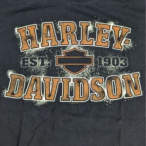 Harley Davidson Motorcycle 50th Anniv Frieze O'Fallon Illinois‎ T-Shirt Mens XL